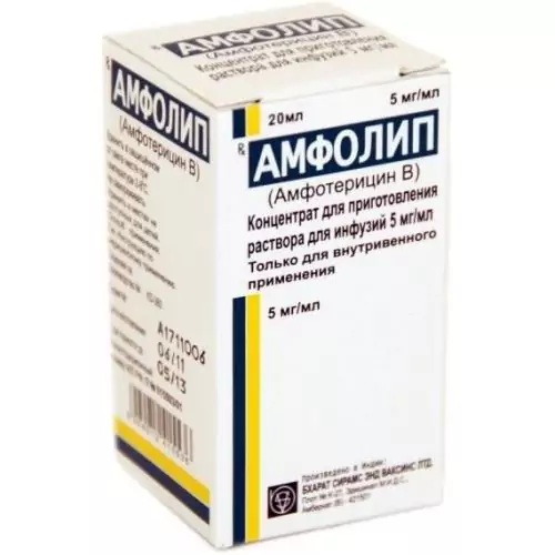 Амфолип конц д/р-ра д/инфуз. 5мг/мл 20мл.фл. N1(Амфотерицин b)